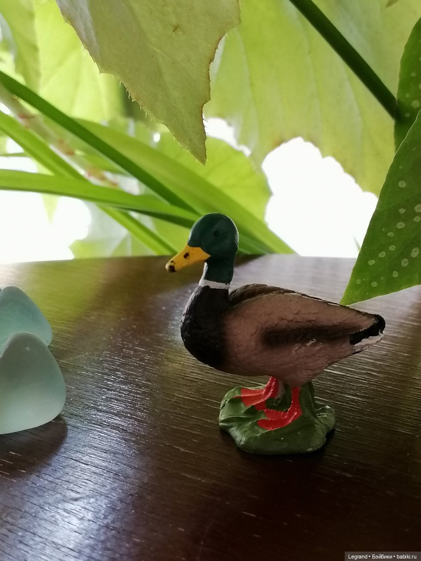 Лурения: Барин и черепашки в купальне