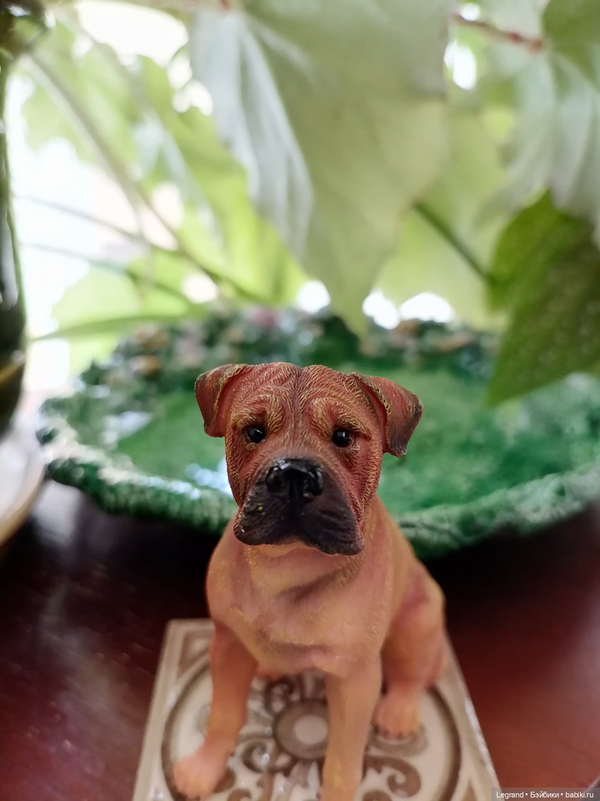 Лурения: Барин и черепашки в купальне