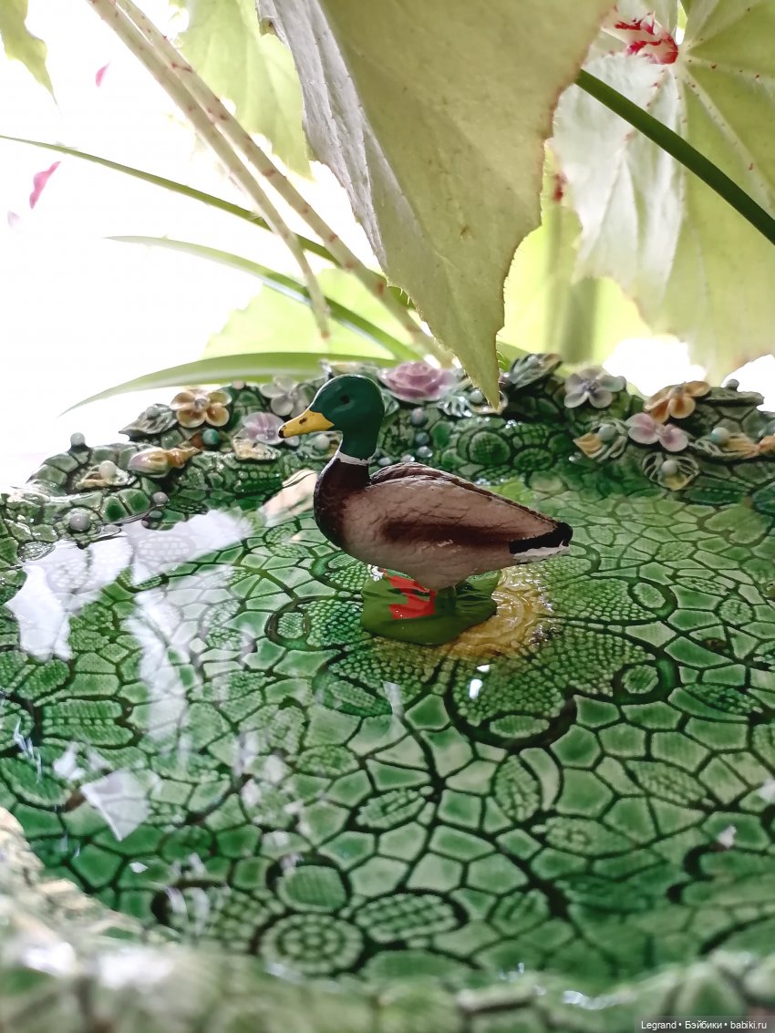 Лурения: Барин и черепашки в купальне