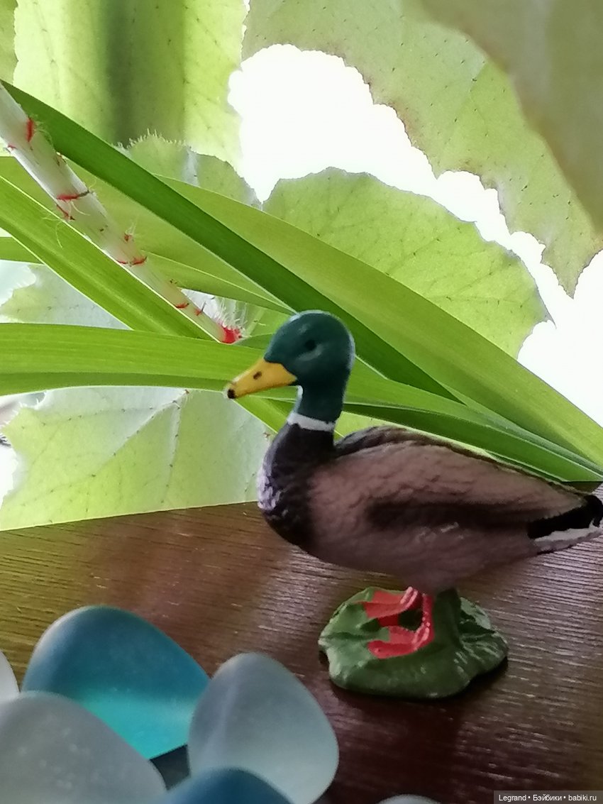 Лурения: Барин и черепашки в купальне