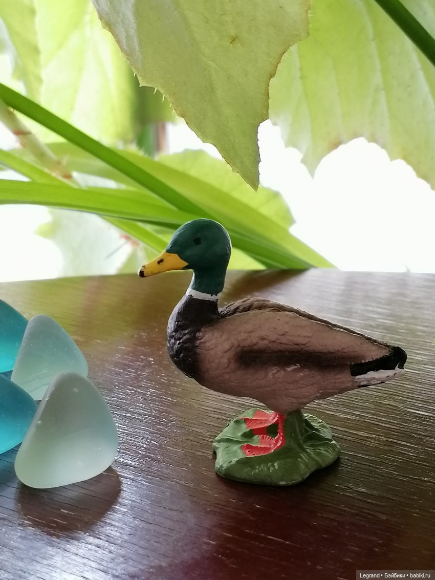 Лурения: Барин и черепашки в купальне