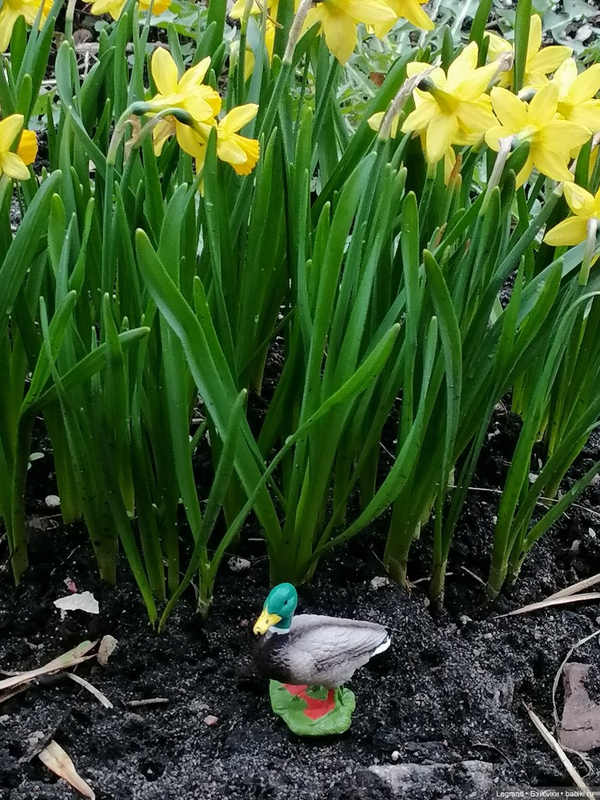 Мишель и я: ужин — Плюшевые мишки и игрушки (Teddy Bear): винтаж