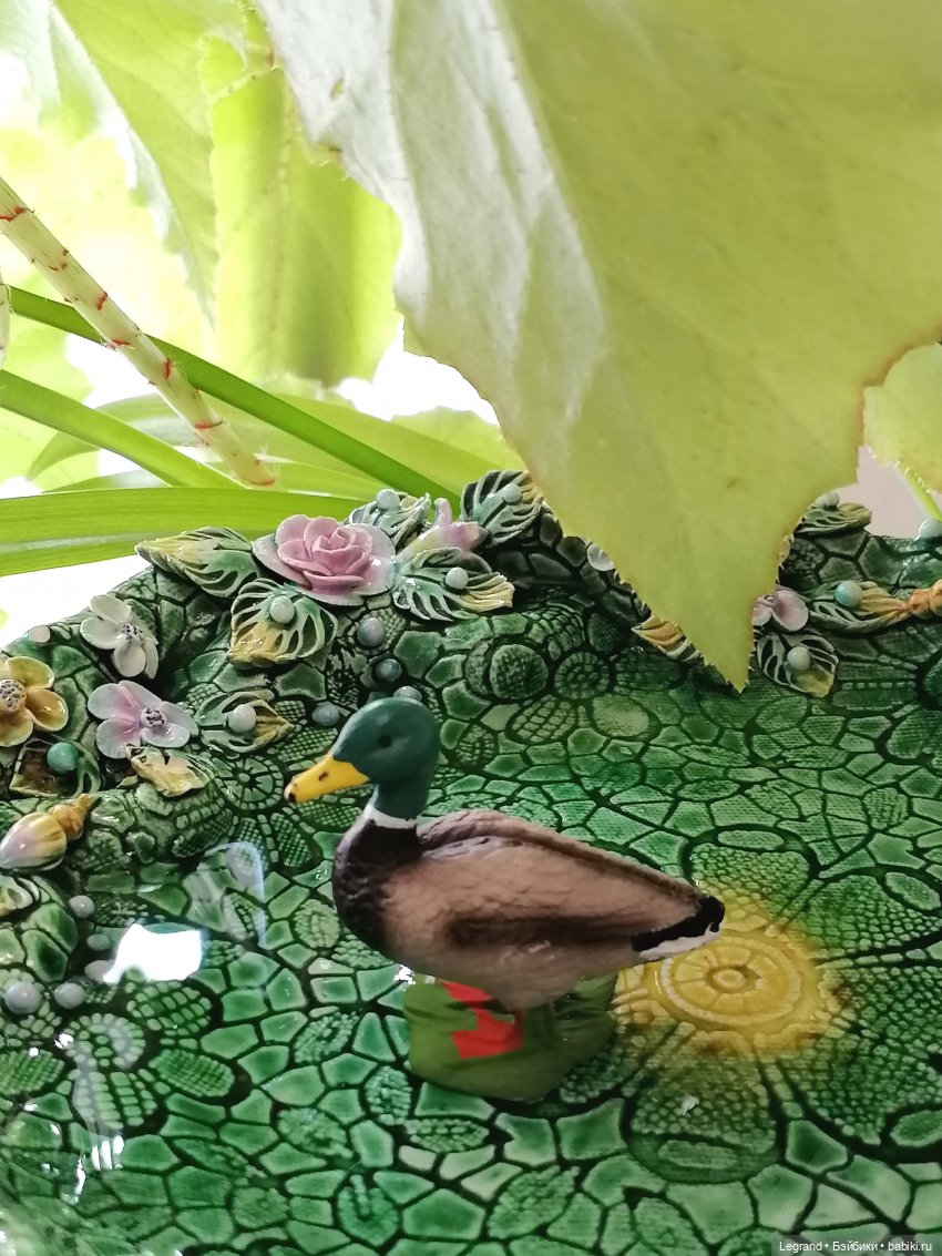 Лурения: Барин и черепашки в купальне