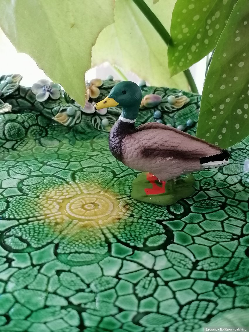 Лурения: Барин и черепашки в купальне (фото 9)