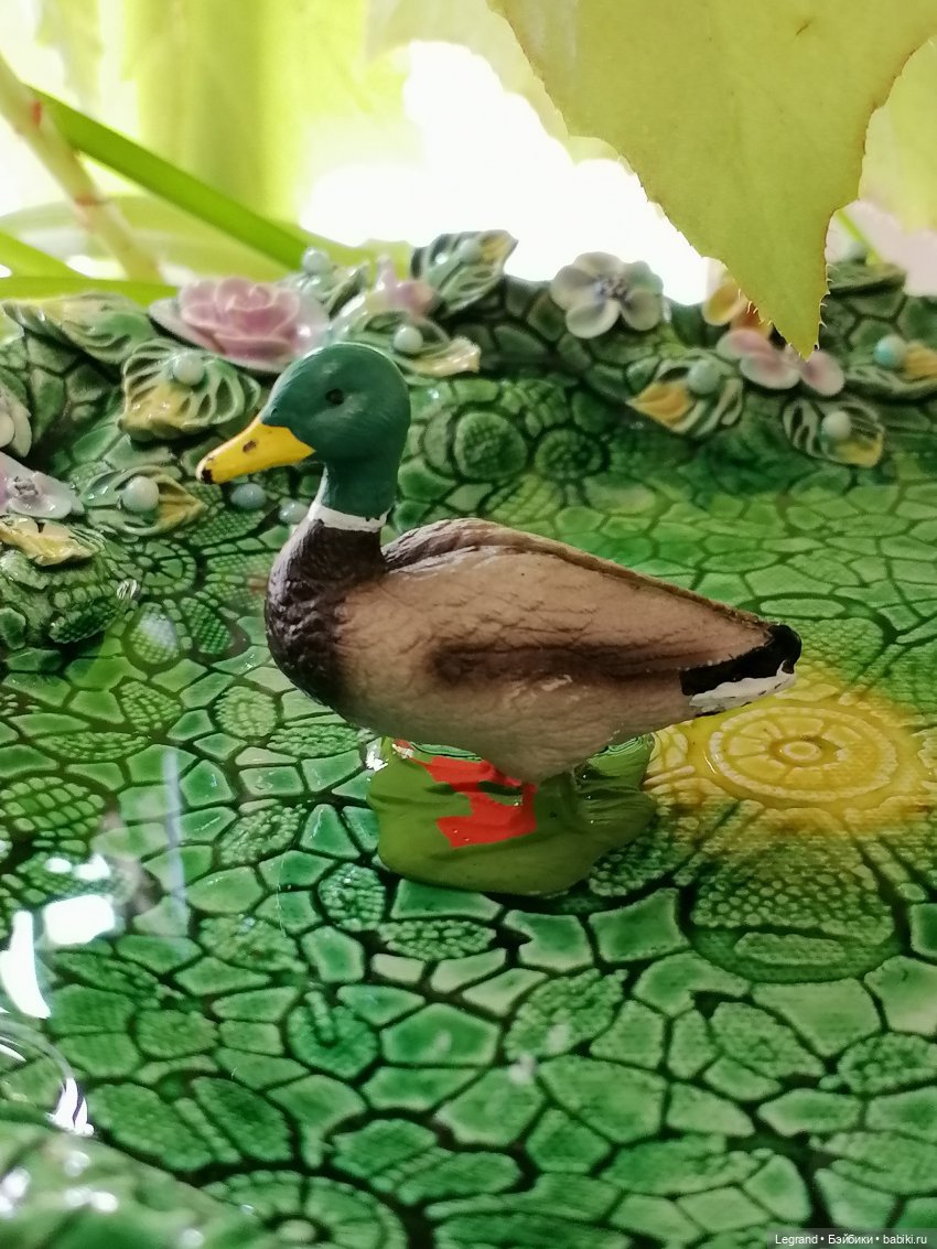 Лурения: Барин и черепашки в купальне (фото 10)