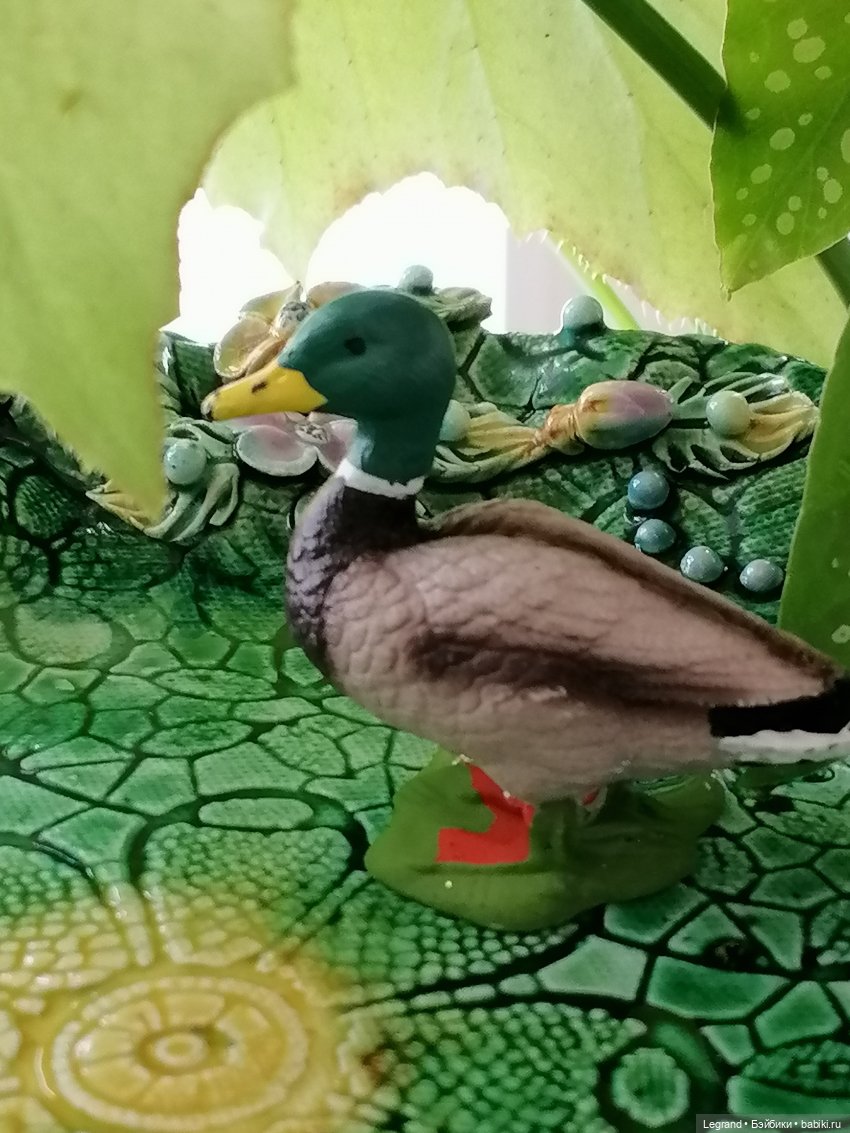 Лурения: Барин и черепашки в купальне (фото 6)