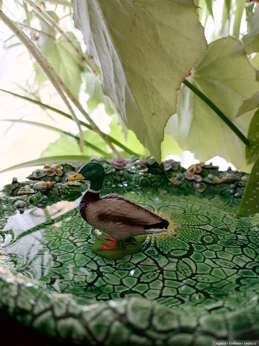 Лурения: Барин и черепашки в купальне (фото 7)