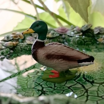 Лурения: Барин и черепашки в купальне