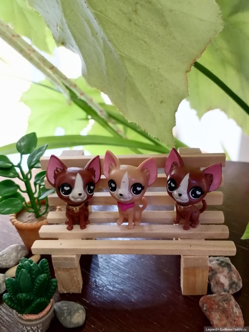 Луренские сады: дети и питомцы на прогулке (фото 4)