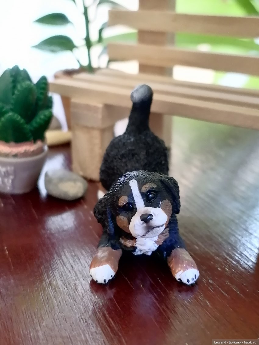 Луренские сады: дети и питомцы на прогулке