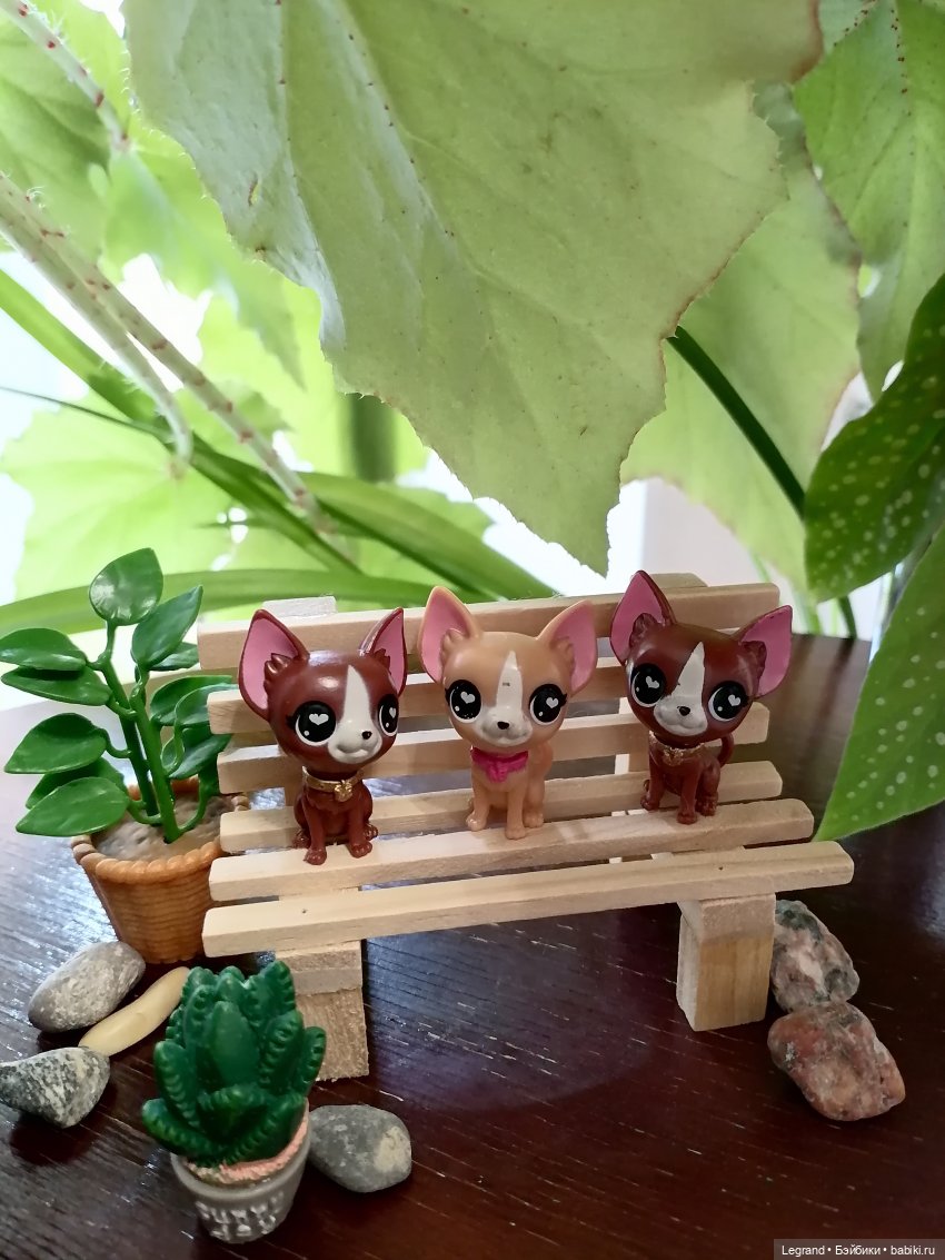 Луренские сады: дети и питомцы на прогулке (фото 5)