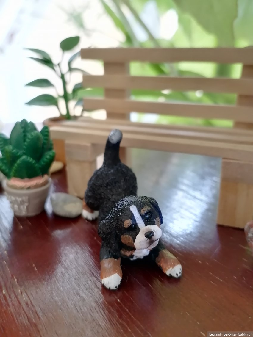 Луренские сады: дети и питомцы на прогулке