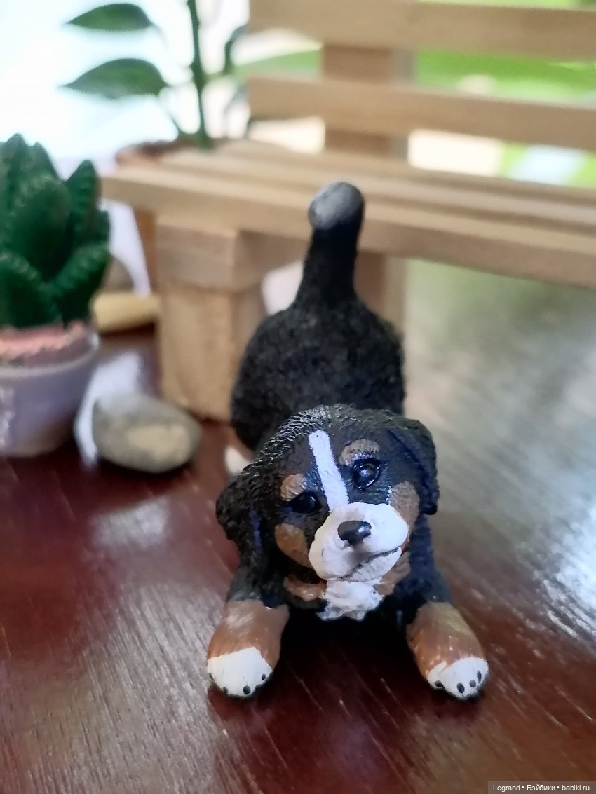 Луренские сады: дети и питомцы на прогулке