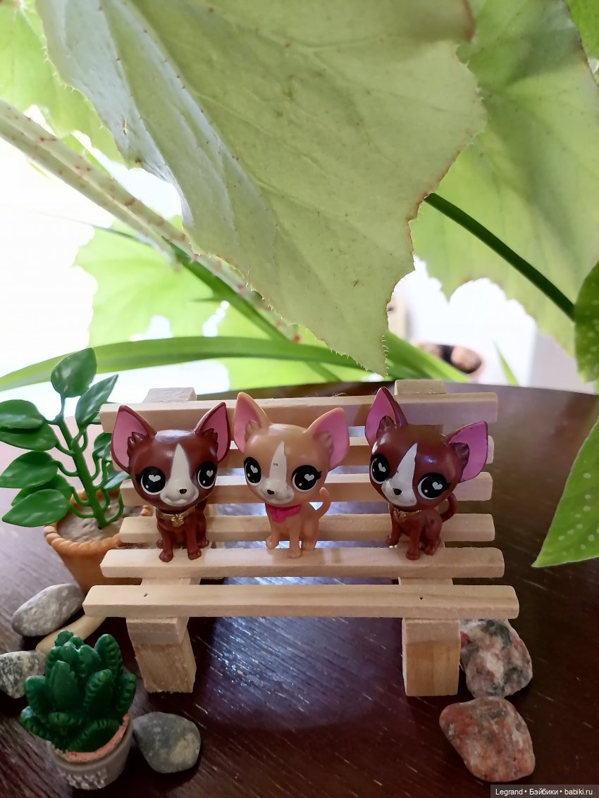 Луренские сады: дети и питомцы на прогулке (фото 6)