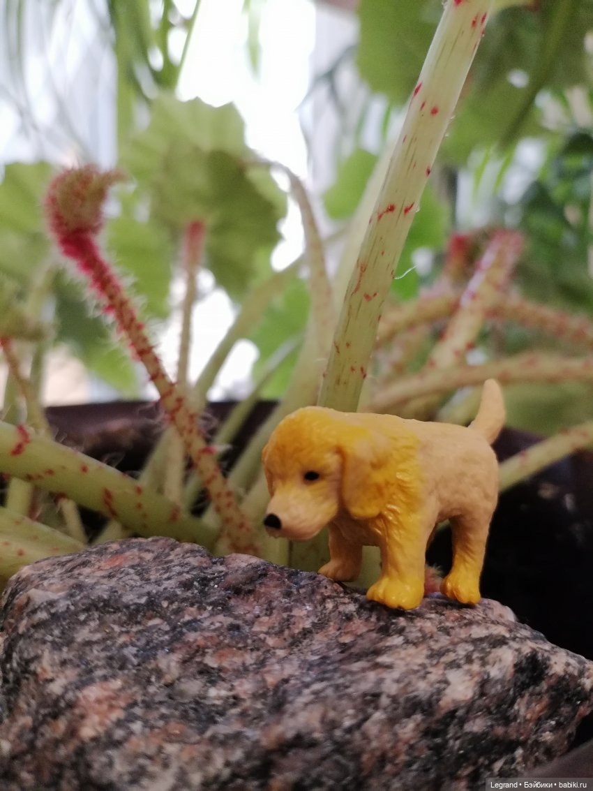 Лурения: новые собачки | Бэйбики Лурения: новые собачки — Интересные игрушки и фигурки (разное): редкие