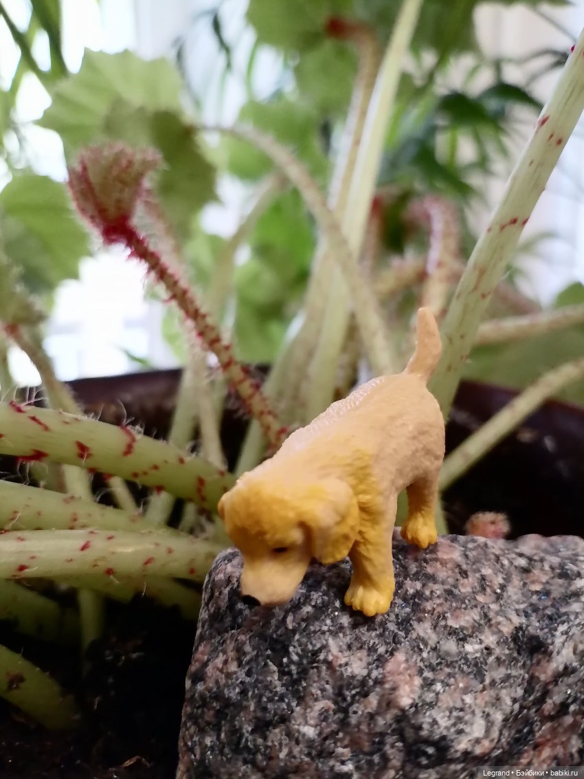 Лурения: новые собачки | Бэйбики Лурения: новые собачки — Интересные игрушки и фигурки (разное): редкие