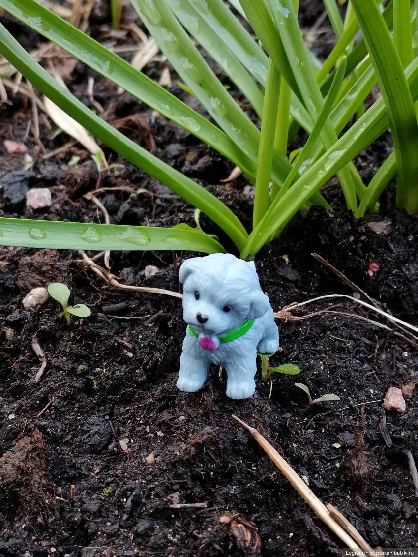 Лурения: новые собачки | Бэйбики Лурения: новые собачки — Интересные игрушки и фигурки (разное): редкие