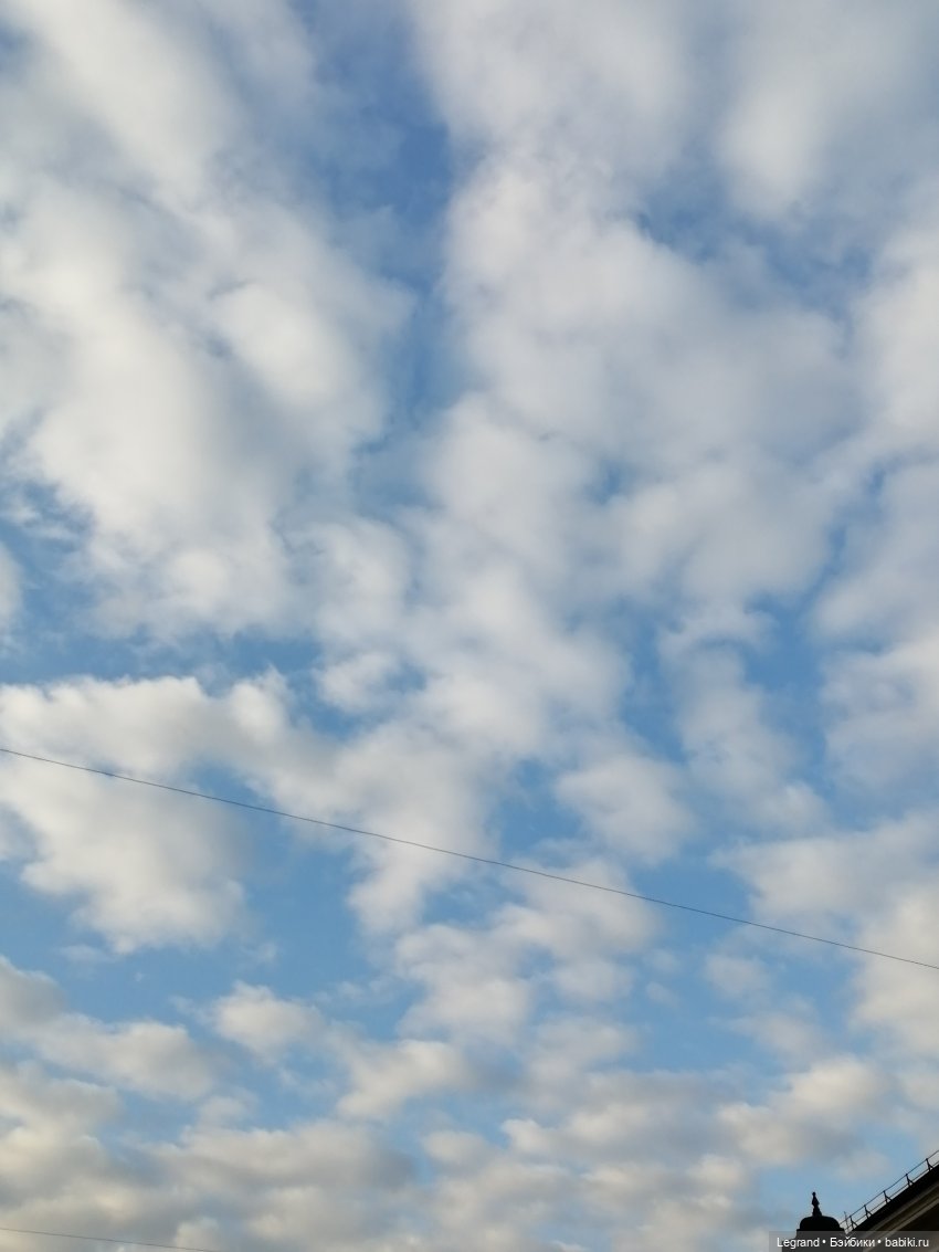 Лурения: новые собачки | Бэйбики Лурения: новые собачки — Интересные игрушки и фигурки (разное): редкие (фото 2)