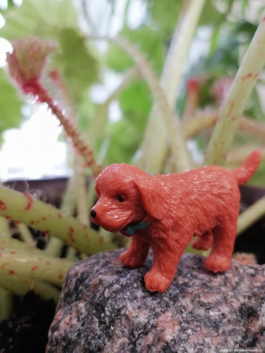 Лурения: новые собачки | Бэйбики Лурения: новые собачки — Интересные игрушки и фигурки (разное): редкие