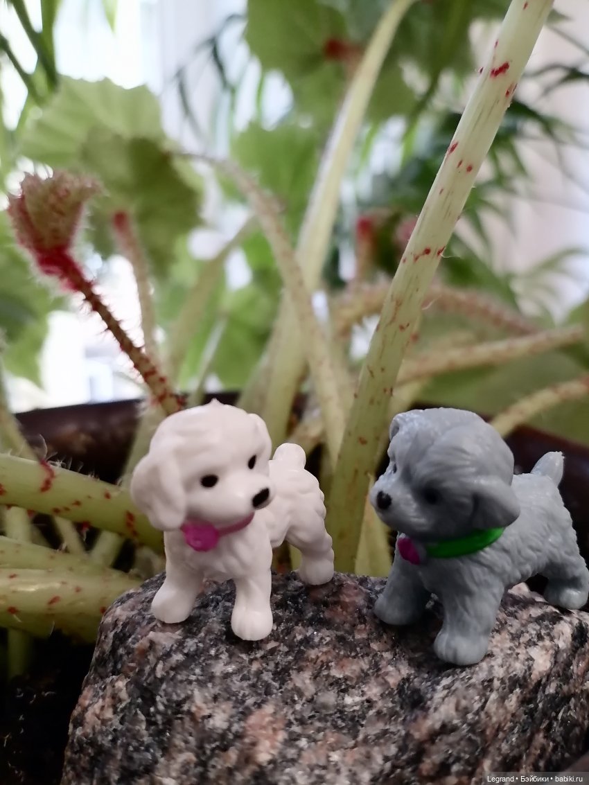 Лурения: новые собачки | Бэйбики Лурения: новые собачки — Интересные игрушки и фигурки (разное): редкие (фото 7)