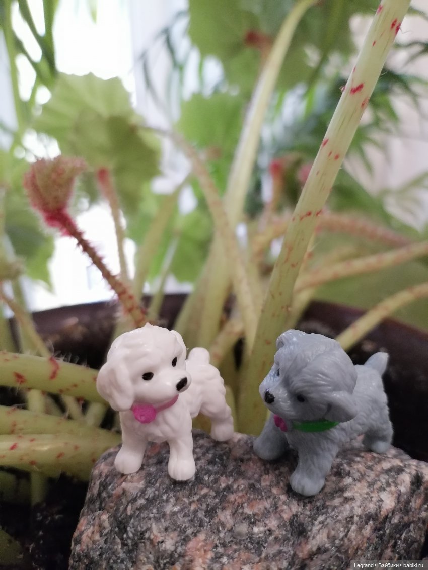 Лурения: новые собачки | Бэйбики Лурения: новые собачки — Интересные игрушки и фигурки (разное): редкие