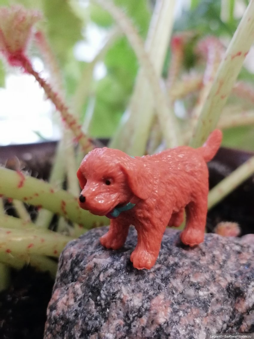 Лурения: новые собачки | Бэйбики Лурения: новые собачки — Интересные игрушки и фигурки (разное): редкие