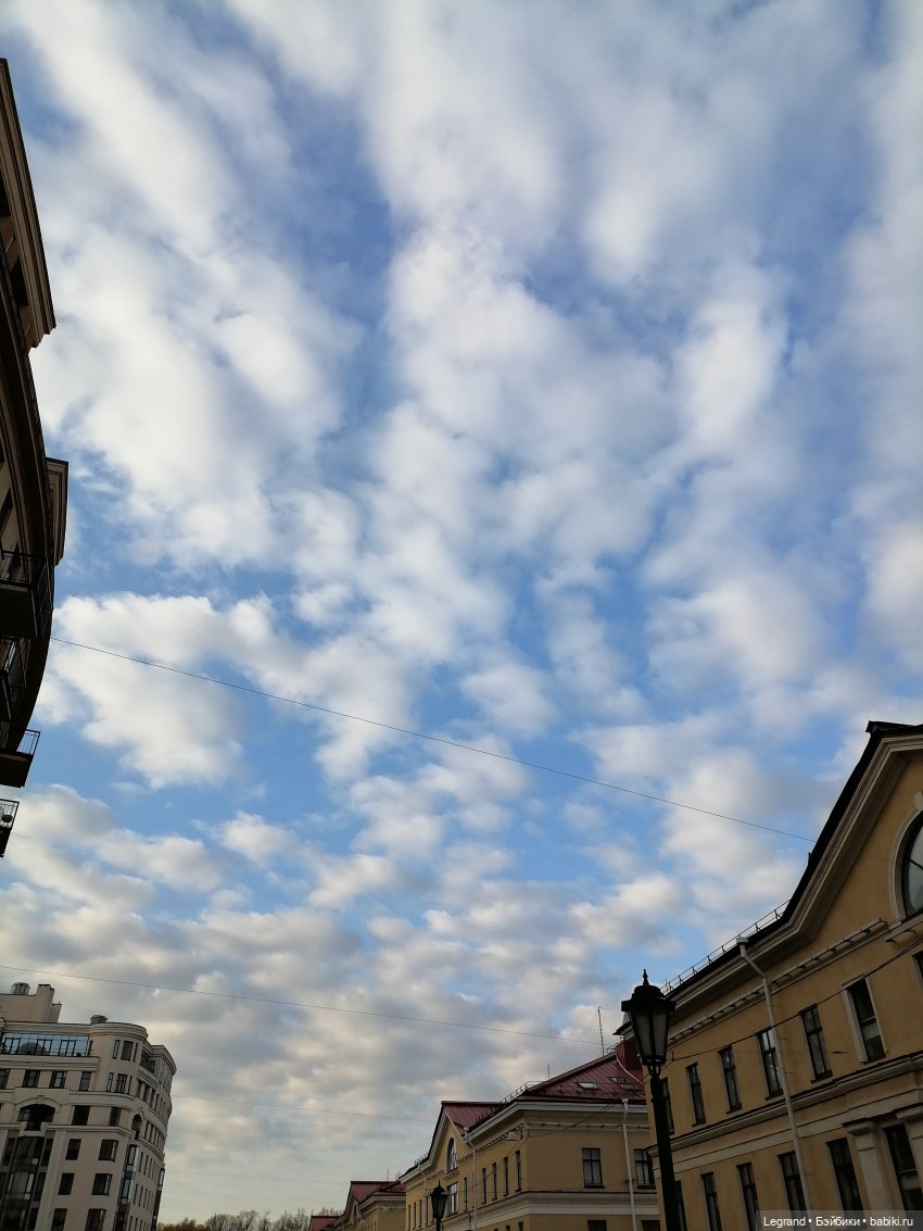 Лурения: новые собачки | Бэйбики Лурения: новые собачки — Интересные игрушки и фигурки (разное): редкие