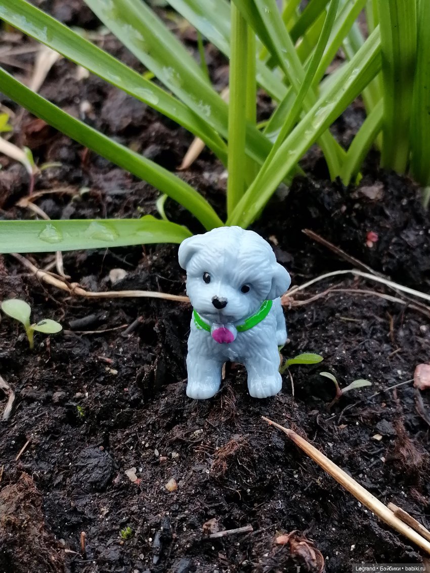 Лурения: новые собачки | Бэйбики Лурения: новые собачки — Интересные игрушки и фигурки (разное): редкие