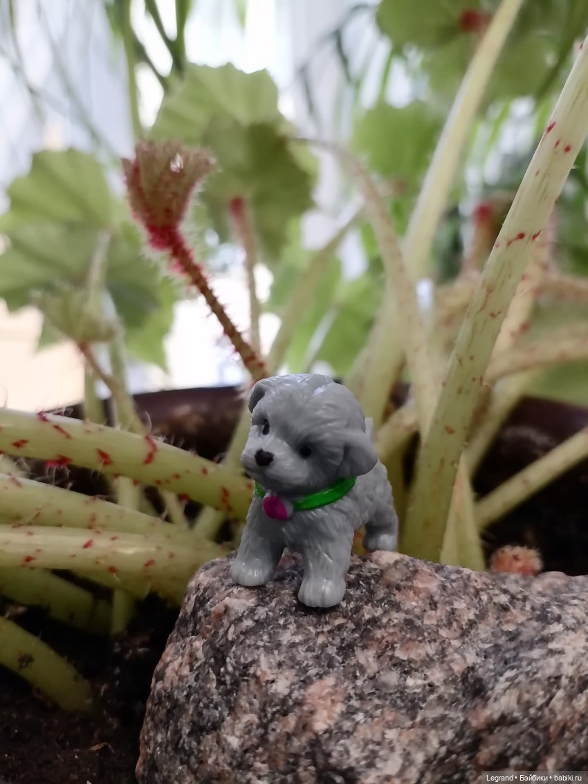 Лурения: новые собачки | Бэйбики Лурения: новые собачки — Интересные игрушки и фигурки (разное): редкие (фото 4)