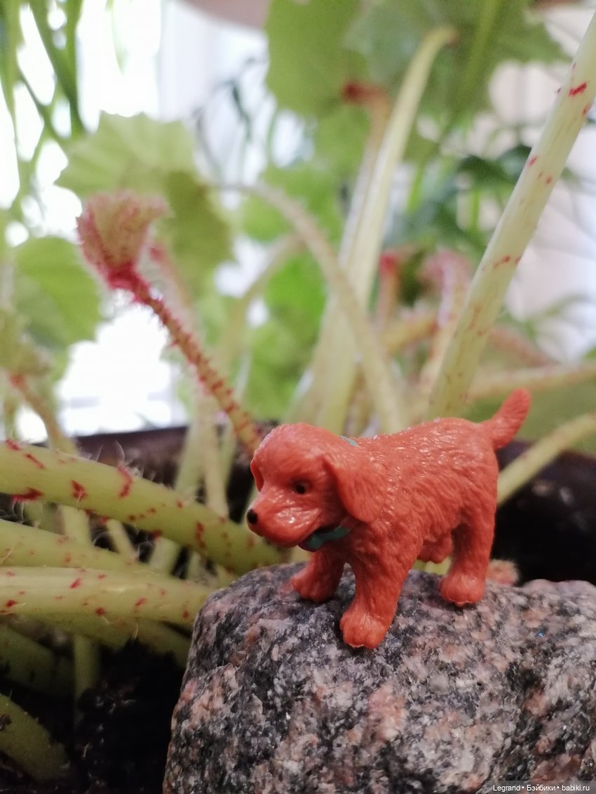 Лурения: новые собачки | Бэйбики Лурения: новые собачки — Интересные игрушки и фигурки (разное): редкие