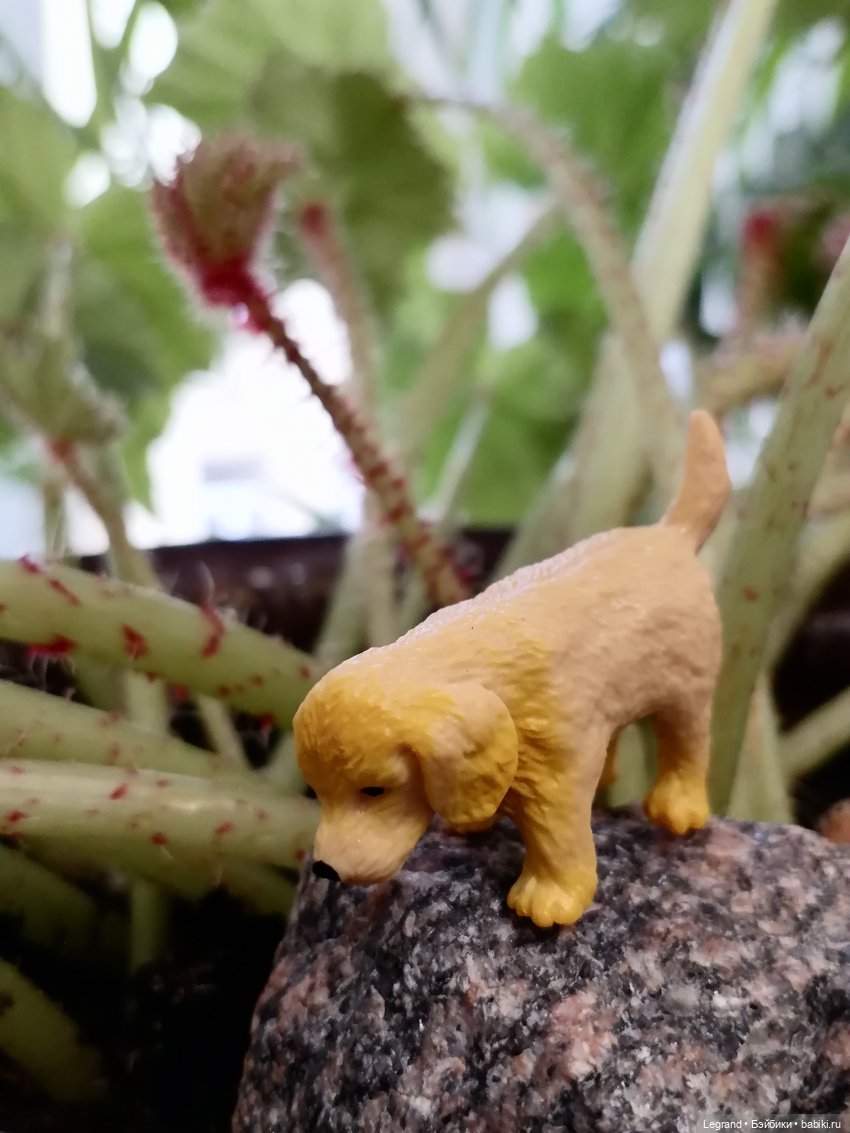 Лурения: новые собачки | Бэйбики Лурения: новые собачки — Интересные игрушки и фигурки (разное): редкие