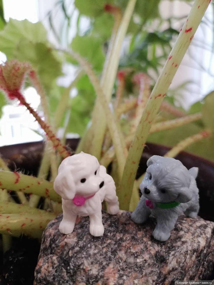 Лурения: новые собачки | Бэйбики Лурения: новые собачки — Интересные игрушки и фигурки (разное): редкие