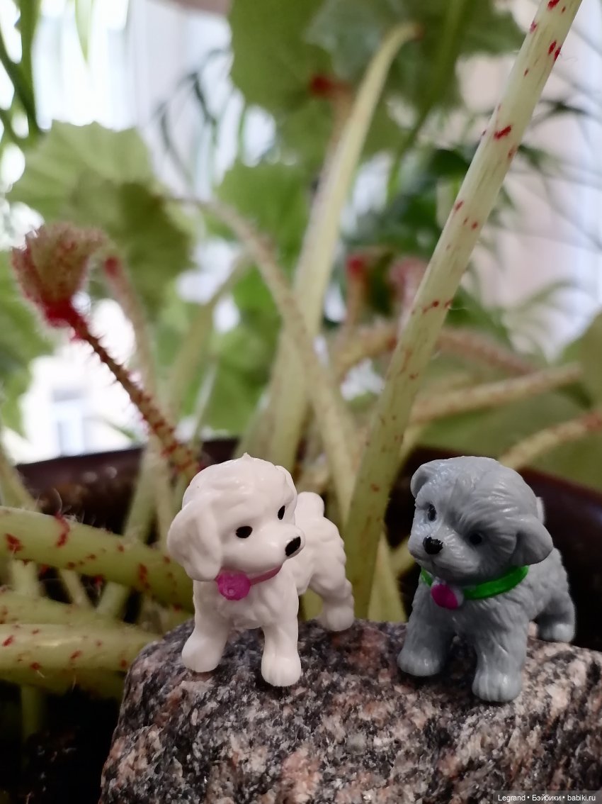 Лурения: новые собачки | Бэйбики Лурения: новые собачки — Интересные игрушки и фигурки (разное): редкие (фото 6)