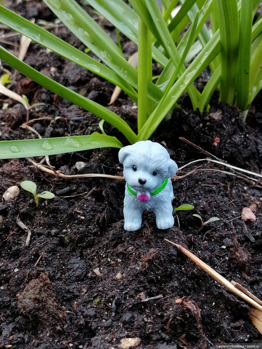 Лурения: новые собачки | Бэйбики Лурения: новые собачки — Интересные игрушки и фигурки (разное): редкие