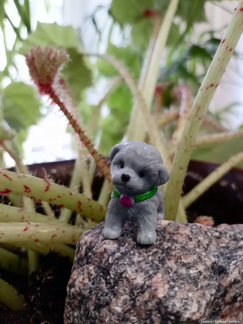 Лурения: новые собачки | Бэйбики Лурения: новые собачки — Интересные игрушки и фигурки (разное): редкие (фото 5)