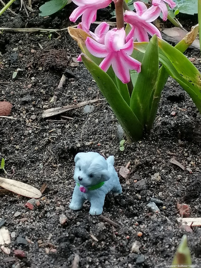 Лурения: новые собачки | Бэйбики Лурения: новые собачки — Интересные игрушки и фигурки (разное): редкие