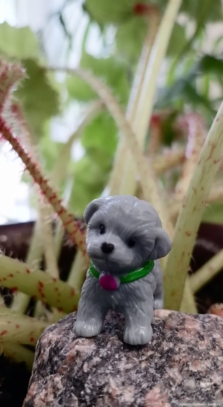 Лурения: новые собачки | Бэйбики Лурения: новые собачки — Интересные игрушки и фигурки (разное): редкие