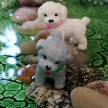 Лурения: Дамла и Айсель в саду