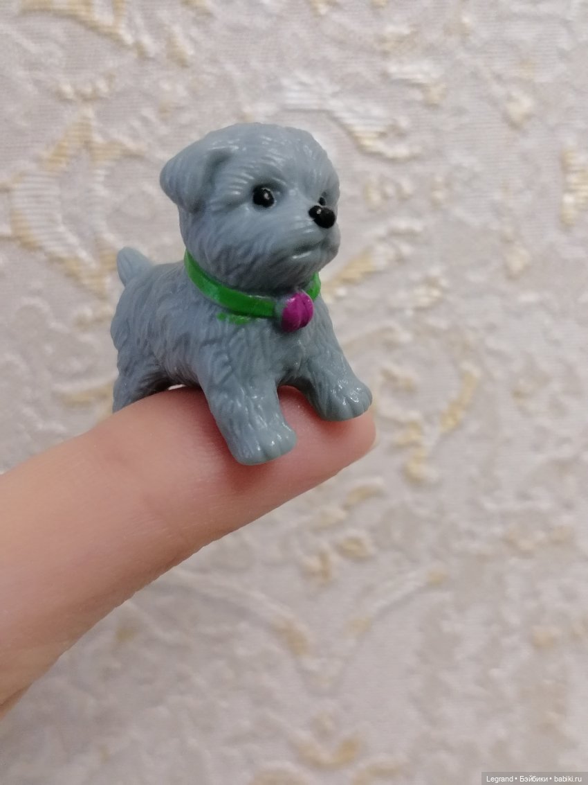 Дамла: экстремальные съёмки🤗🐕