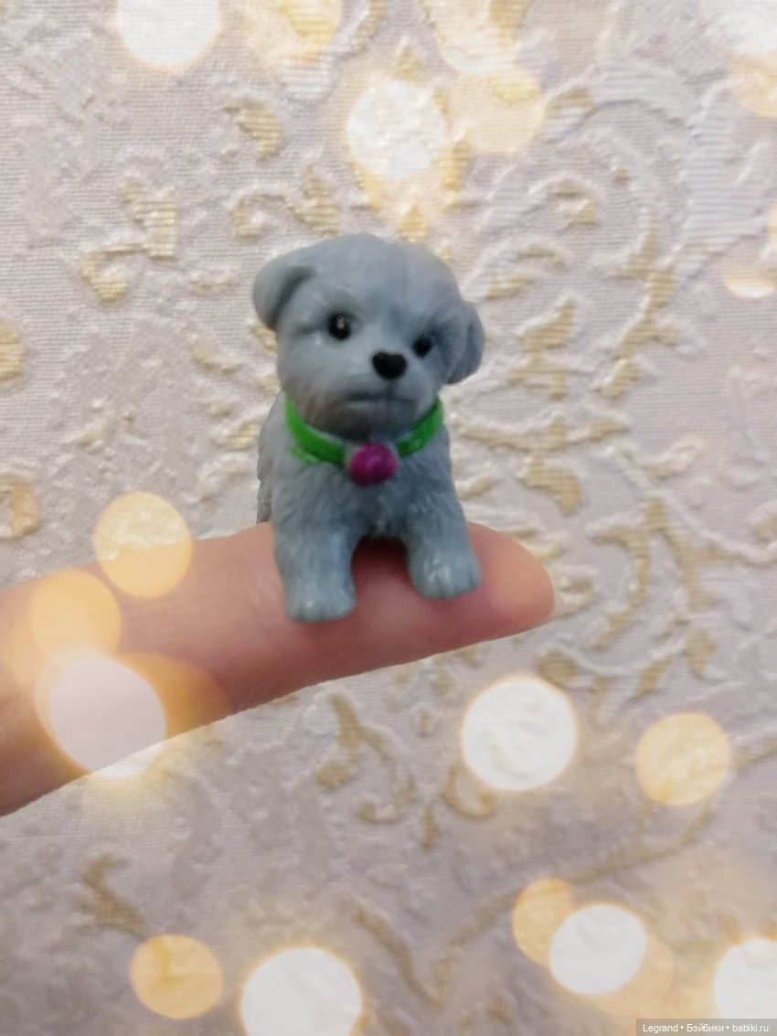 Дамла: экстремальные съёмки🤗🐕