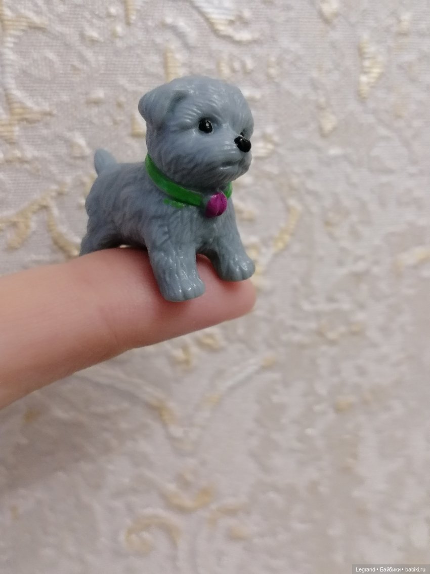 Дамла: экстремальные съёмки🤗🐕 (фото 6)