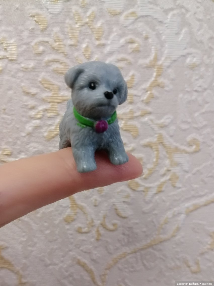 Дамла: экстремальные съёмки🤗🐕 (фото 10)