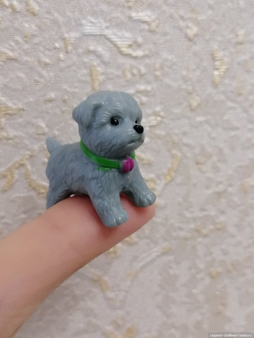 Дамла: экстремальные съёмки🤗🐕