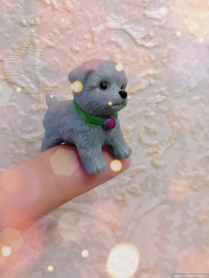 Дамла: экстремальные съёмки🤗🐕