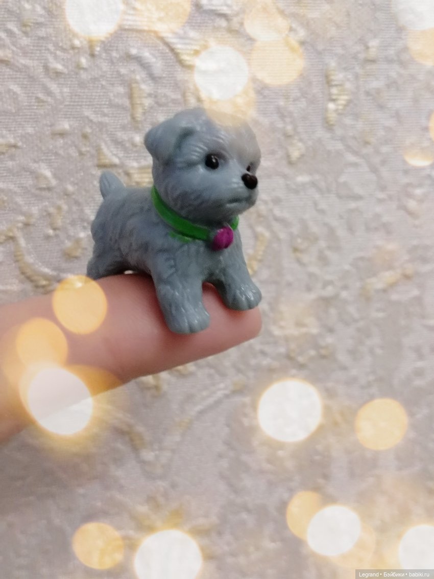 Дамла: экстремальные съёмки🤗🐕