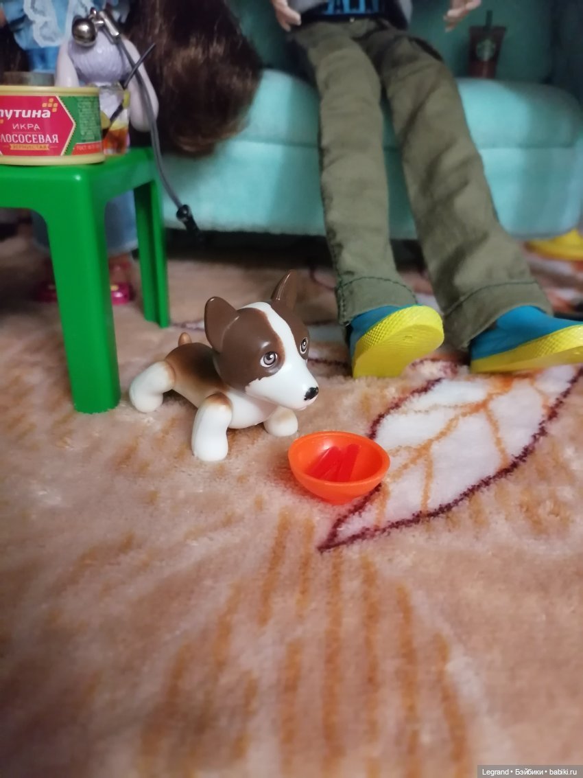 Дамла: экстремальные съёмки🤗🐕 (фото 2)