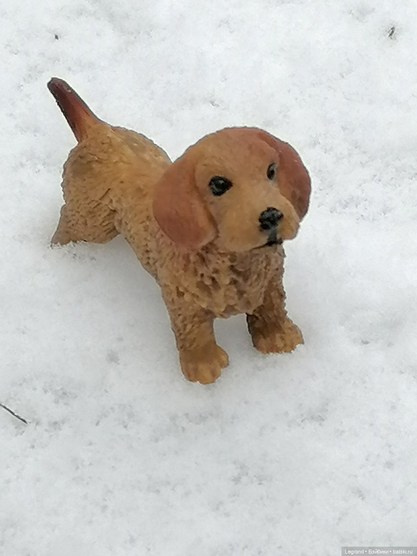 Дамла: экстремальные съёмки🤗🐕 (фото 3)