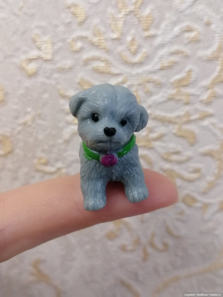 Дамла: экстремальные съёмки🤗🐕