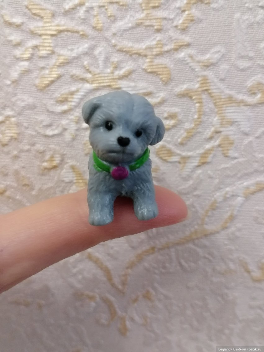 Дамла: экстремальные съёмки🤗🐕