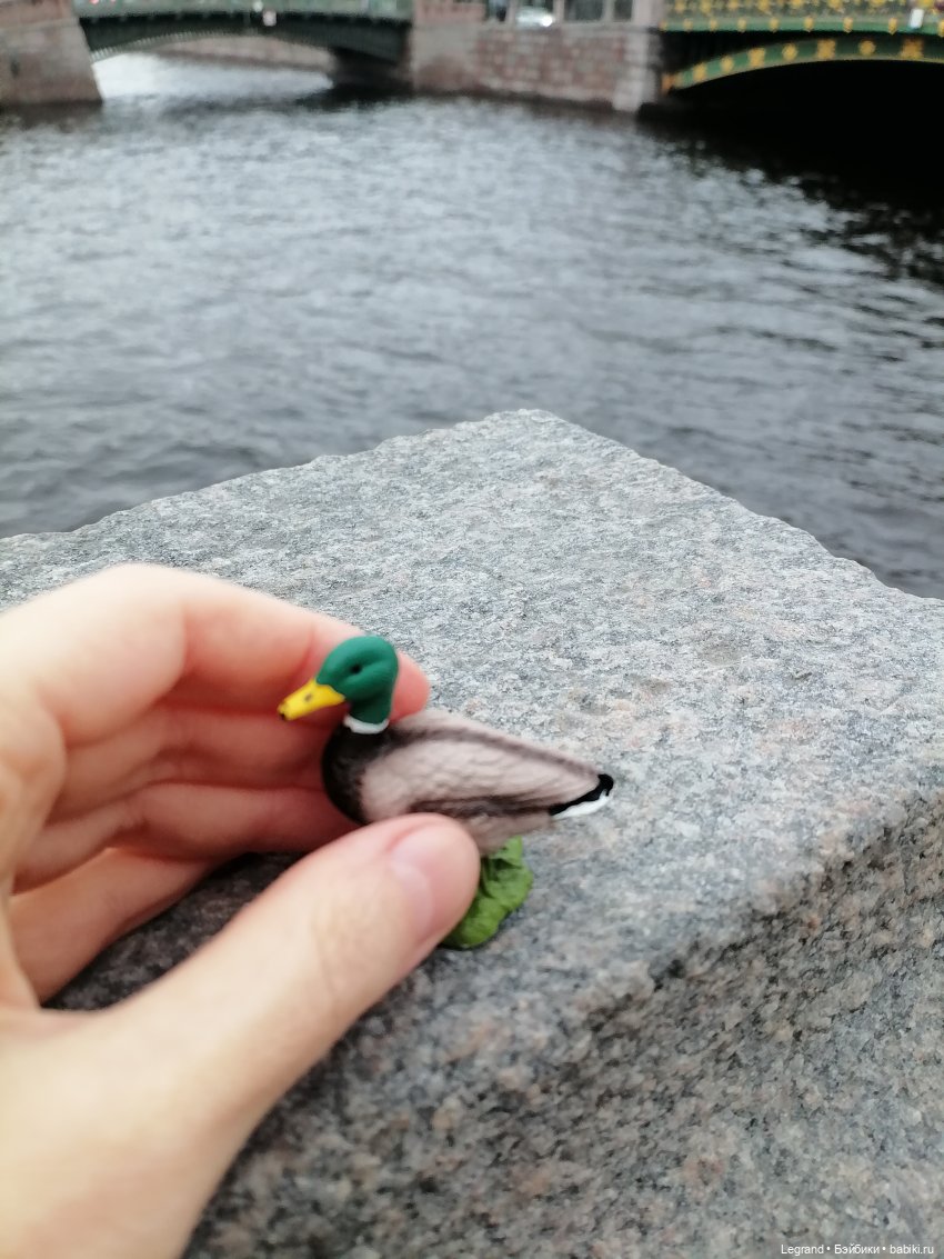 Дамла: экстремальные съёмки🤗🐕 (фото 4)